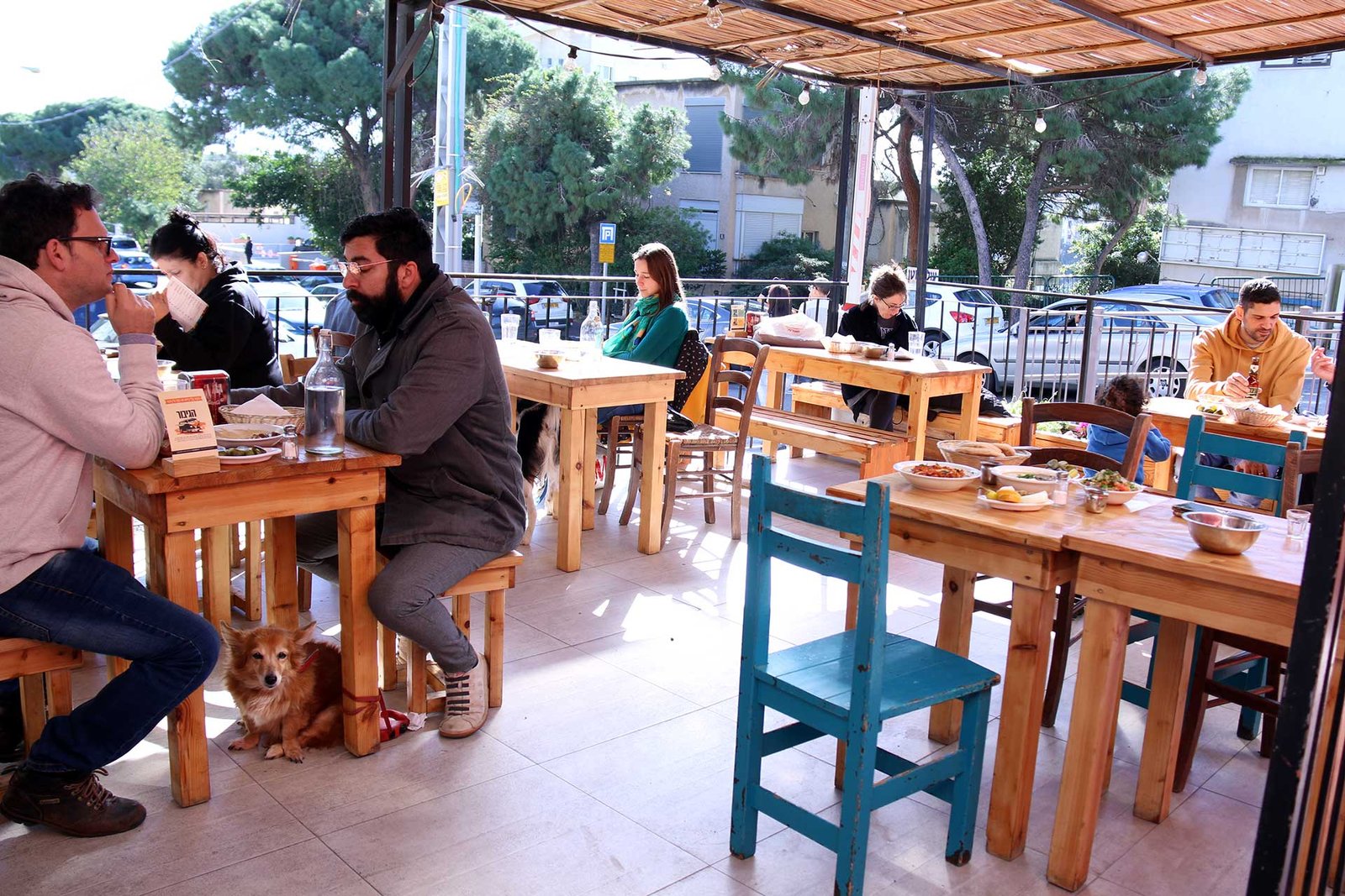 Read more about the article חומוס ברדיצ’ב